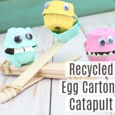 DIY Catapult with Craft Sticks and Egg Cartons