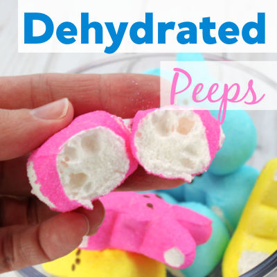 How to Dehydrate Peeps Marshmallows Easter Snack for Kids